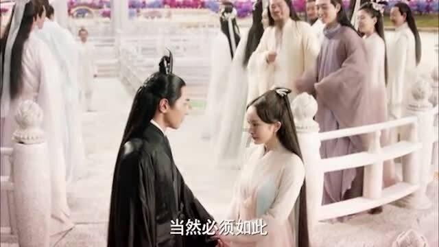 美人鱼的聚会
