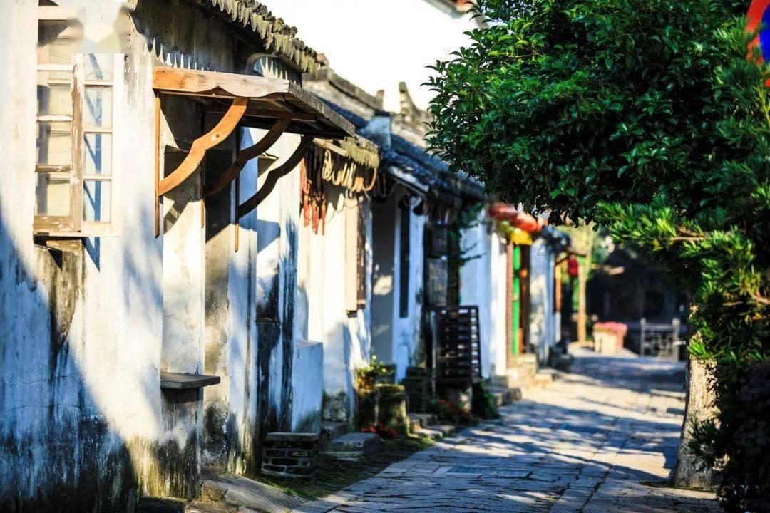 盐和避难所